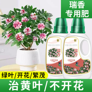 瑞香营养液花肥金边瑞香专用肥料治黄叶室内盆栽开花肥水溶液体肥