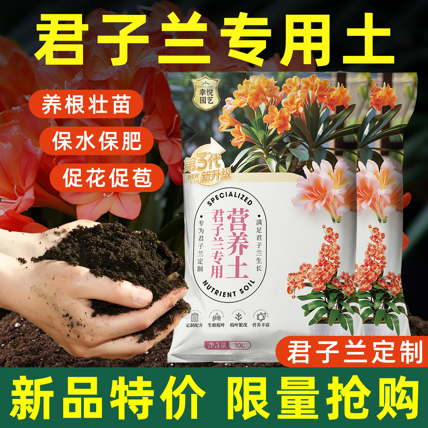 养君子兰专业土壤含有机质