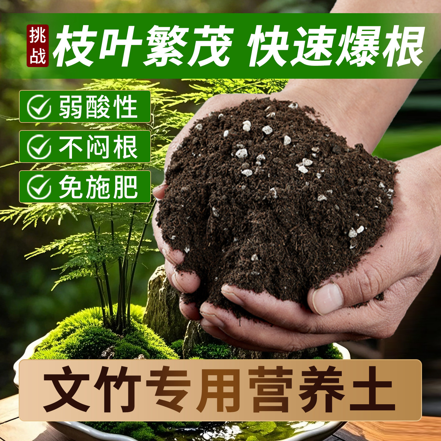 文竹专用土花土营养土种养云竹培养土壤盆栽培土泥土种植土肥料