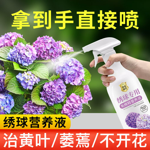 绣球花专用肥料花肥黄叶绣球花营养液催花开花肥叶面肥水溶肥