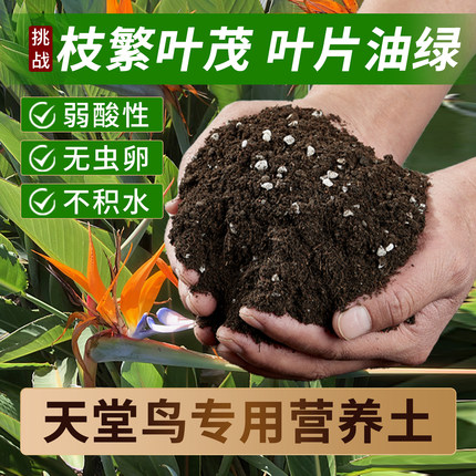 天堂鸟专用土营养土养花专用通用土壤绿植泥土种植土盆栽专用肥料