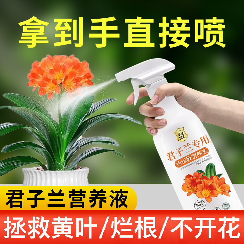 君子兰营养液免稀释兰花促箭促开花专用肥料叶面肥盆栽液体肥