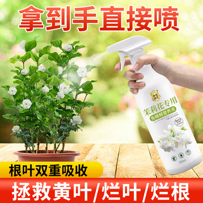 茉莉花免稀释营养液直喷即用