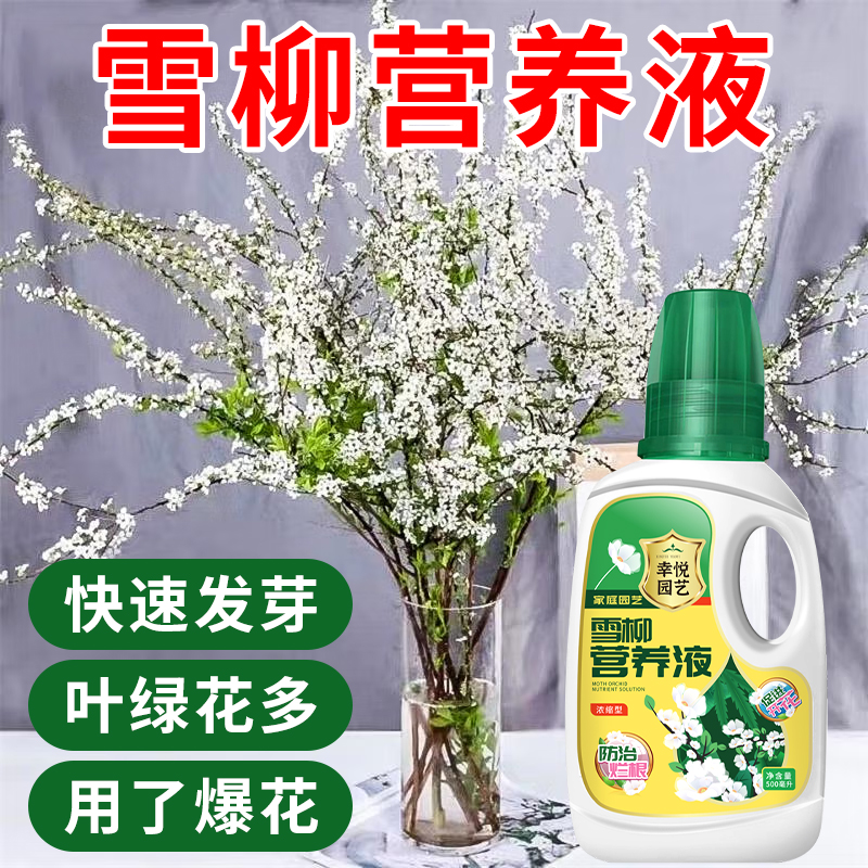 干支雪柳营养液喷雪花水培植物营养液鲜枝盆栽专用龙柳水养花肥料-封面