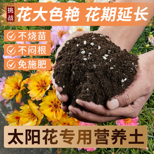 太阳花专用土营养土壤肥料