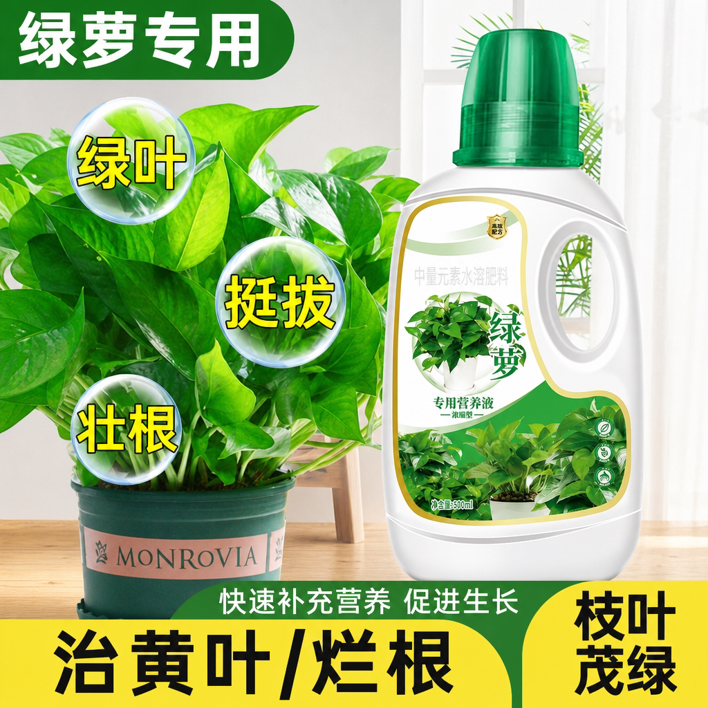 绿萝专用营养液肥料土培水培通用图片
