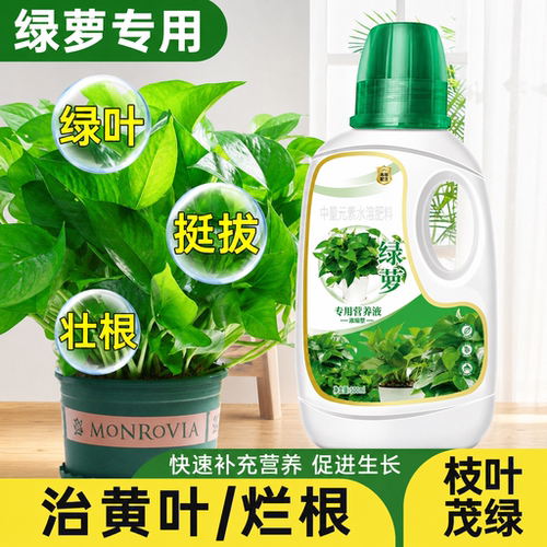 绿萝专用营养液肥料土培水培通用