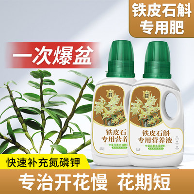 铁皮石斛专用营养液促开花促涨势