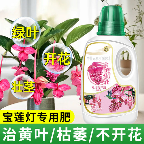宝莲灯花专用营养液肥料花大色艳
