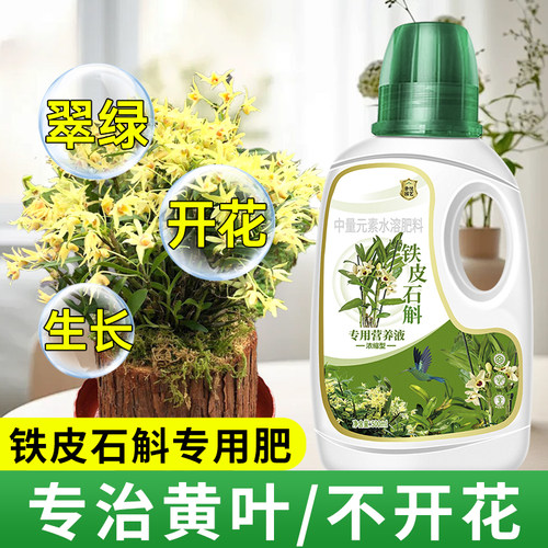 铁皮石斛专用营养液促开花促涨势