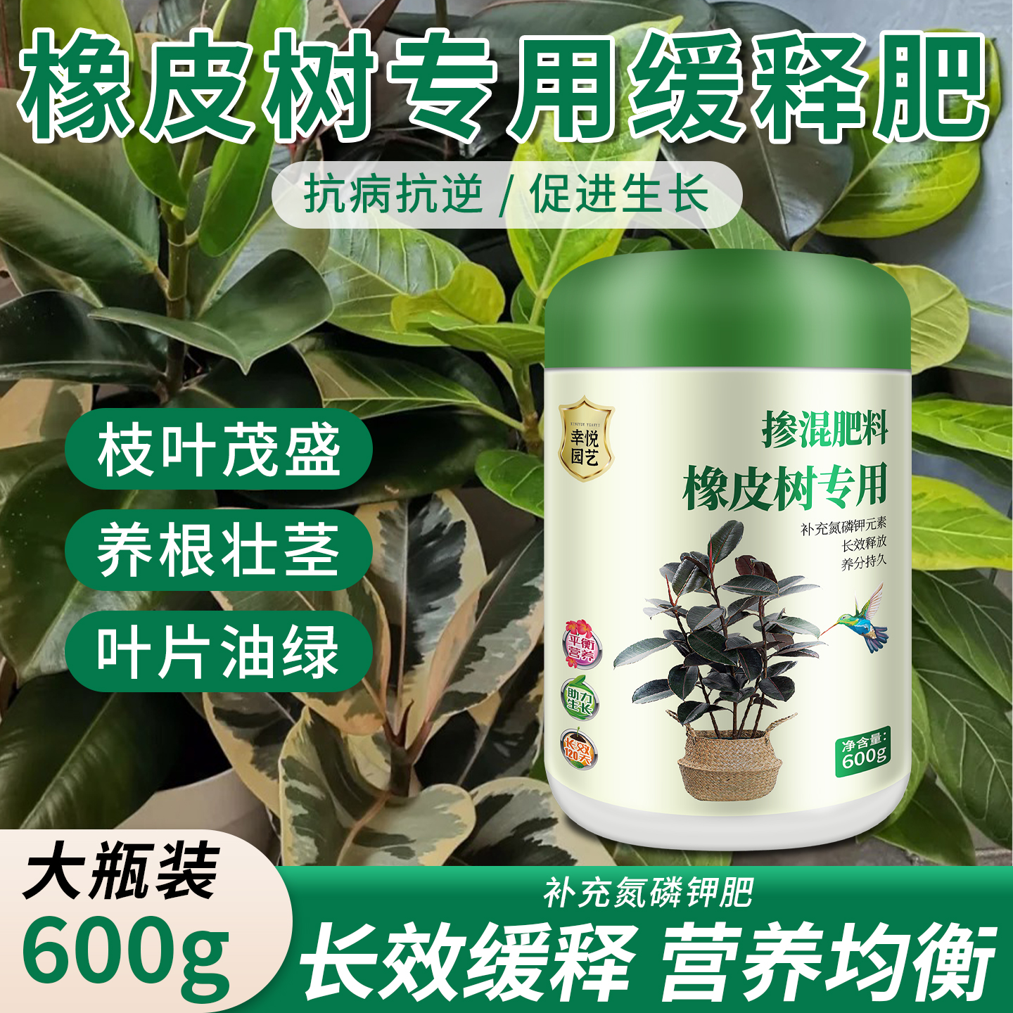橡皮树专用肥料缓释肥叶子发黄枯萎专用肥黑金刚橡皮树专用复合肥
