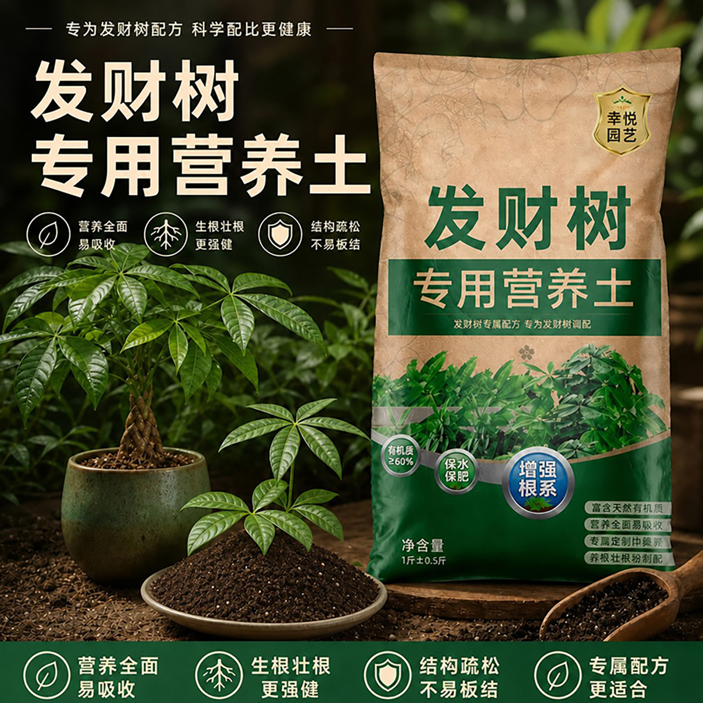 种植发财树专用营养土图片