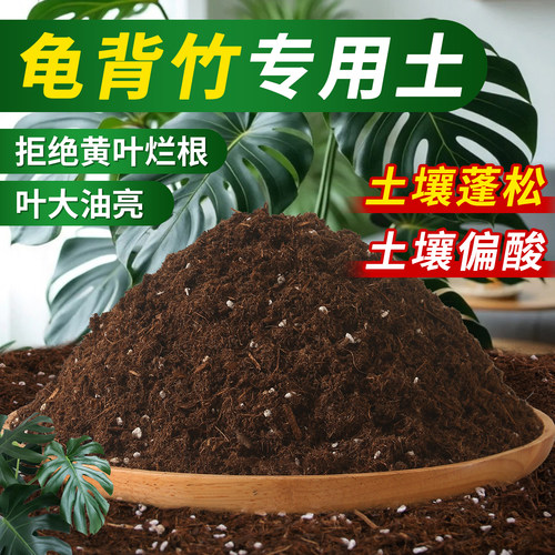盆栽养龟背竹专用土壤