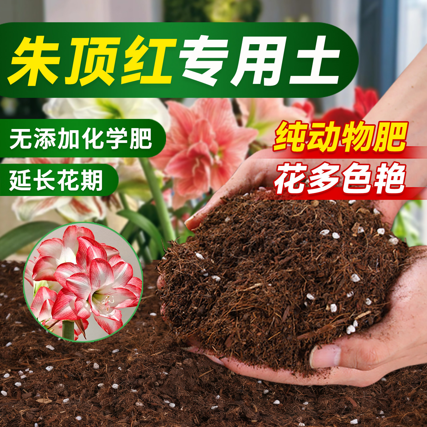 幸悦旗舰店朱顶红专用营养土图片