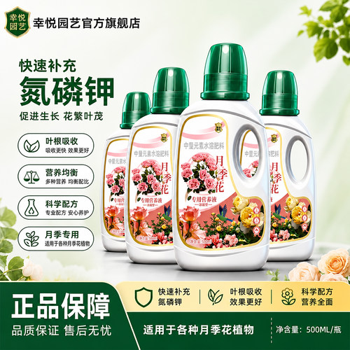 月季花专用营养液月花肥料专用肥