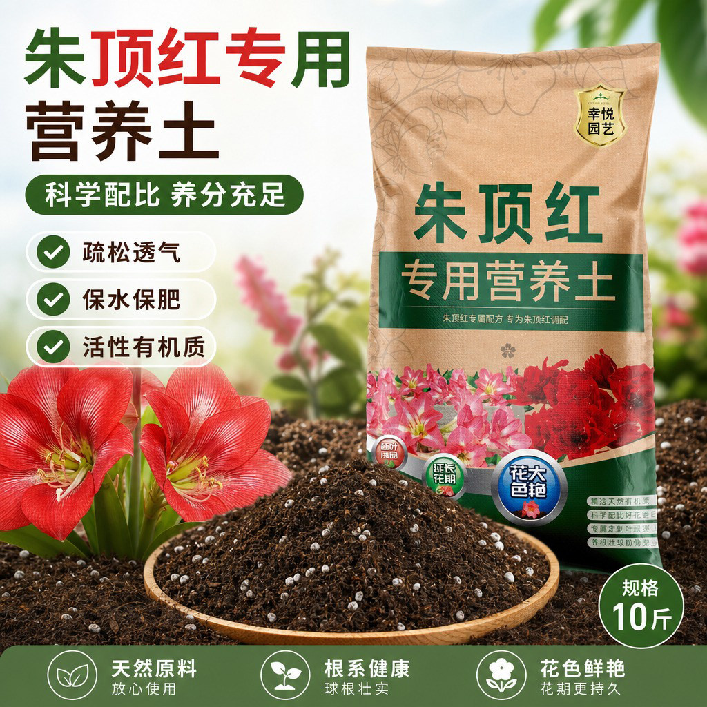 朱顶红专用土壤花土营养土种球肥图片