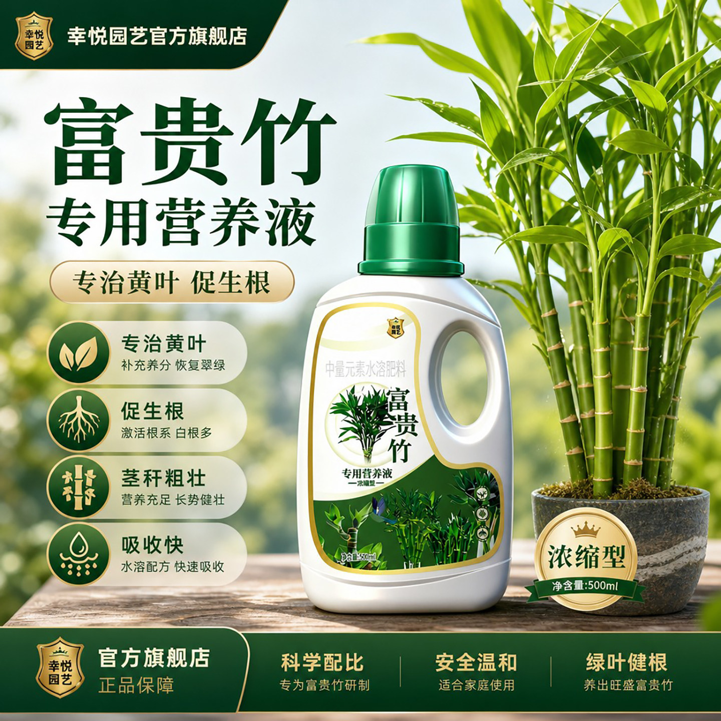 富贵竹专用营养液治叶子发黄转运竹节节高文昌竹水竹水培植物生根