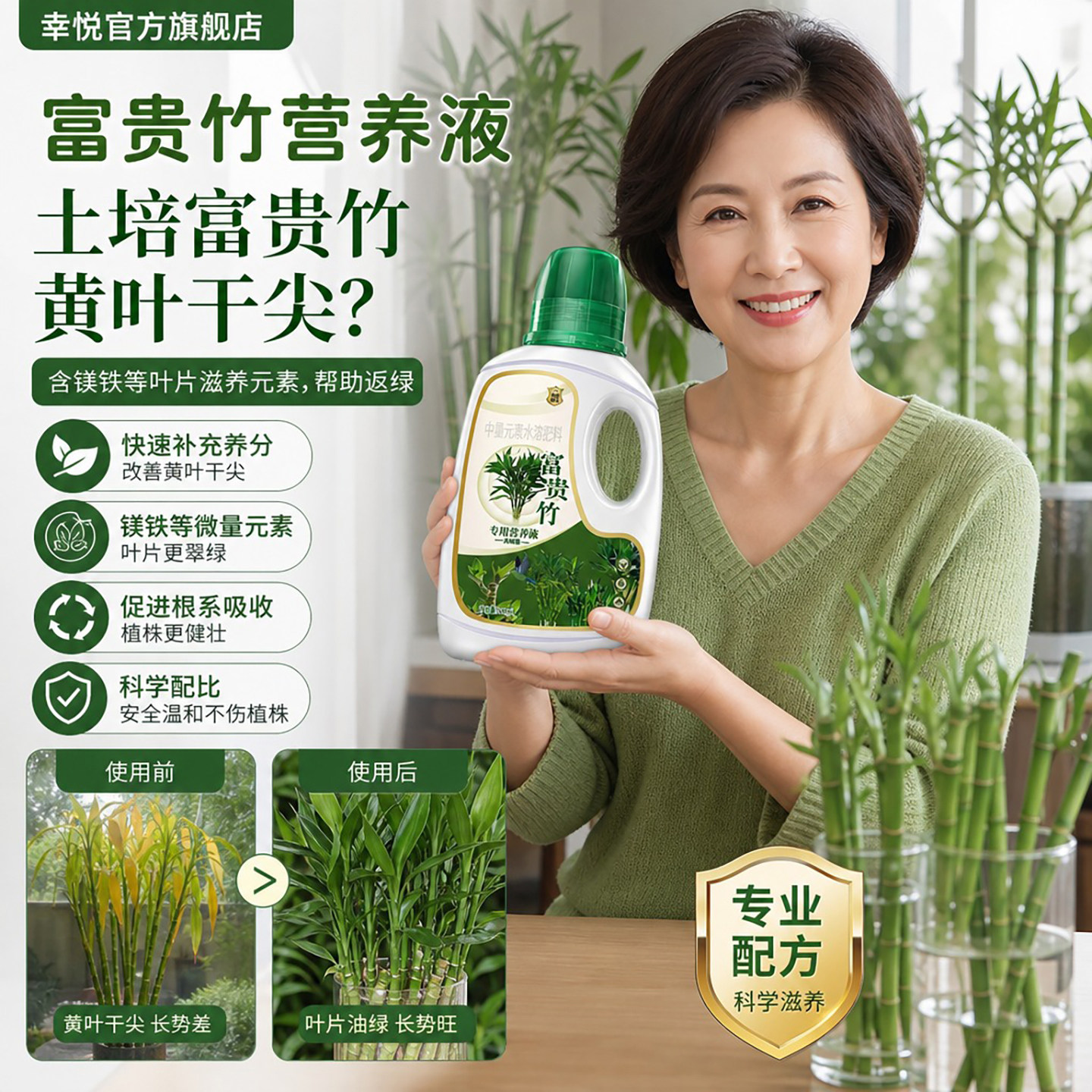 富贵竹专用型营养液转运竹观音竹图片