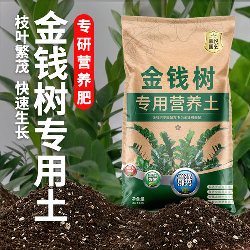 金钱树专用营养土叶绿杆壮根好