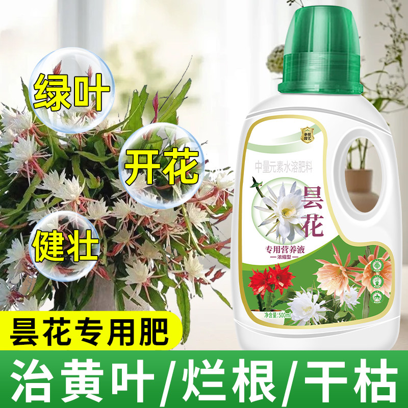 昙花专用营养液有机花肥盆栽昙花专用肥料促开花肥专用营养土,鲜花速递/花卉仿真/绿植园艺,家庭园艺肥料,淘宝优惠券,粉丝福利购,淘宝优惠卷