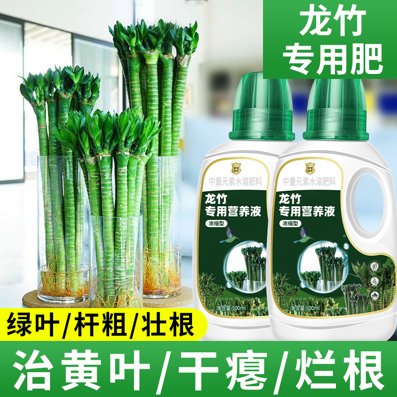 龙竹文昌竹专用营养液治黄叶烂根