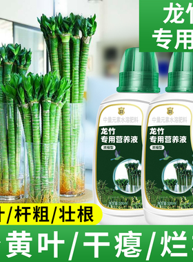 龙竹营养液文昌竹专用肥治叶子发黄水培植物生根水溶液体肥富贵竹