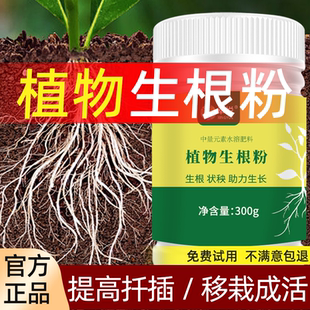 快速生根粉植物通用果树花卉树木移栽水培扦插专用生根剂壮根粉