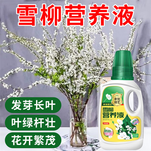干支雪柳营养液喷雪花水培植物营养液鲜枝盆栽专用龙柳水养花肥料