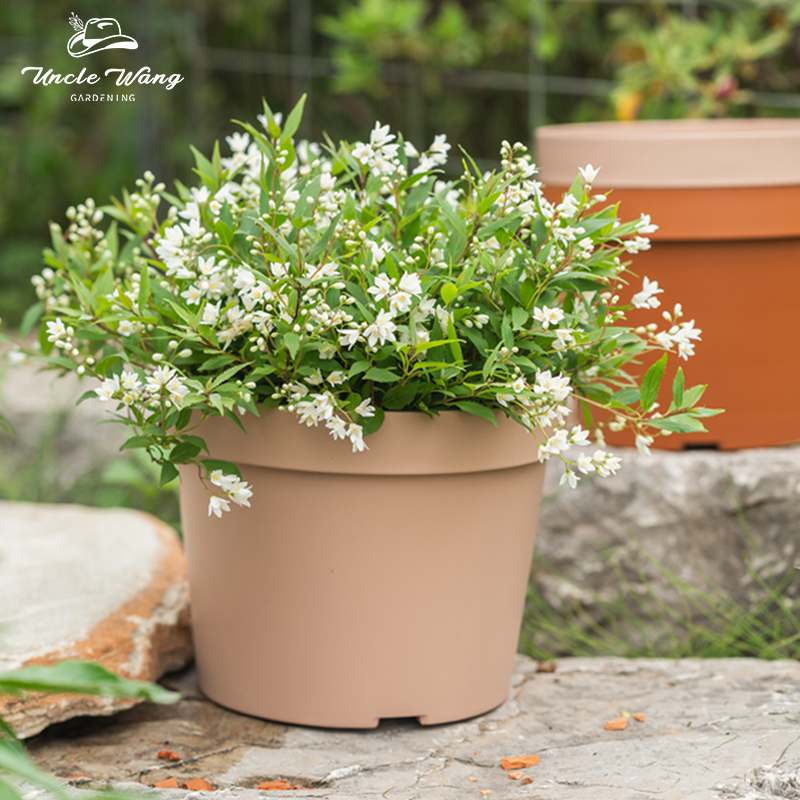 种花王大爷永恒系列仿陶塑料花盆Ⅰ阳台庭院种植加厚耐用创意户外,鲜花速递/花卉仿真/绿植园艺,花盆,淘宝优惠券,粉丝福利购,淘宝优惠卷