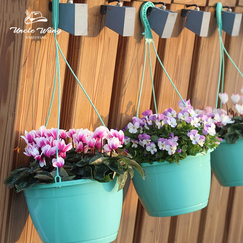 种花王大爷吊篮盆套装蒂芙尼蓝花盆可垂吊窗台阳台挂钩悬挂吊挂盆,鲜花速递/花卉仿真/绿植园艺,花盆,淘宝优惠券,粉丝福利购,淘宝优惠卷