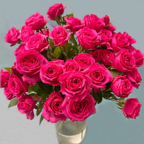 多头玫瑰花泡泡云南鲜花花束基地直发速递同城生日苏菲宝贝妇女节