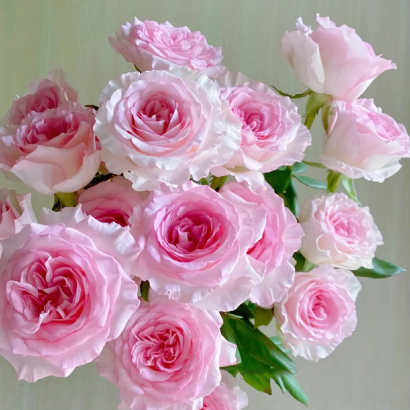 鲜花花束玫瑰花云南直发昆明基地配送生日家用艾莎弗洛伊德情人节