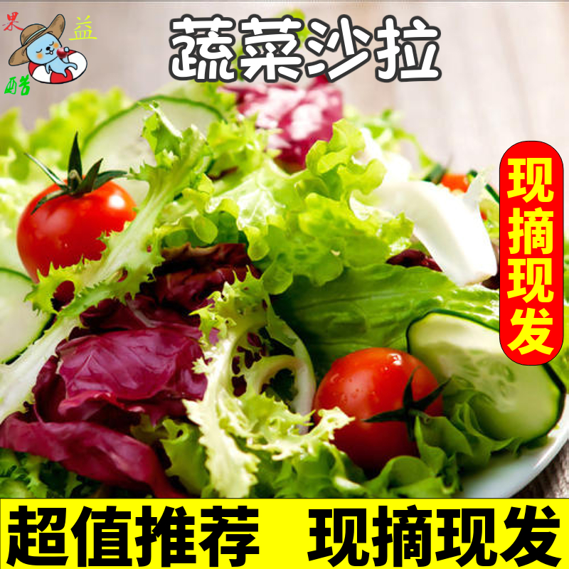 蔬菜沙拉生菜混合新鲜食材套餐当应季新鲜沙拉菜150g球生菜现摘