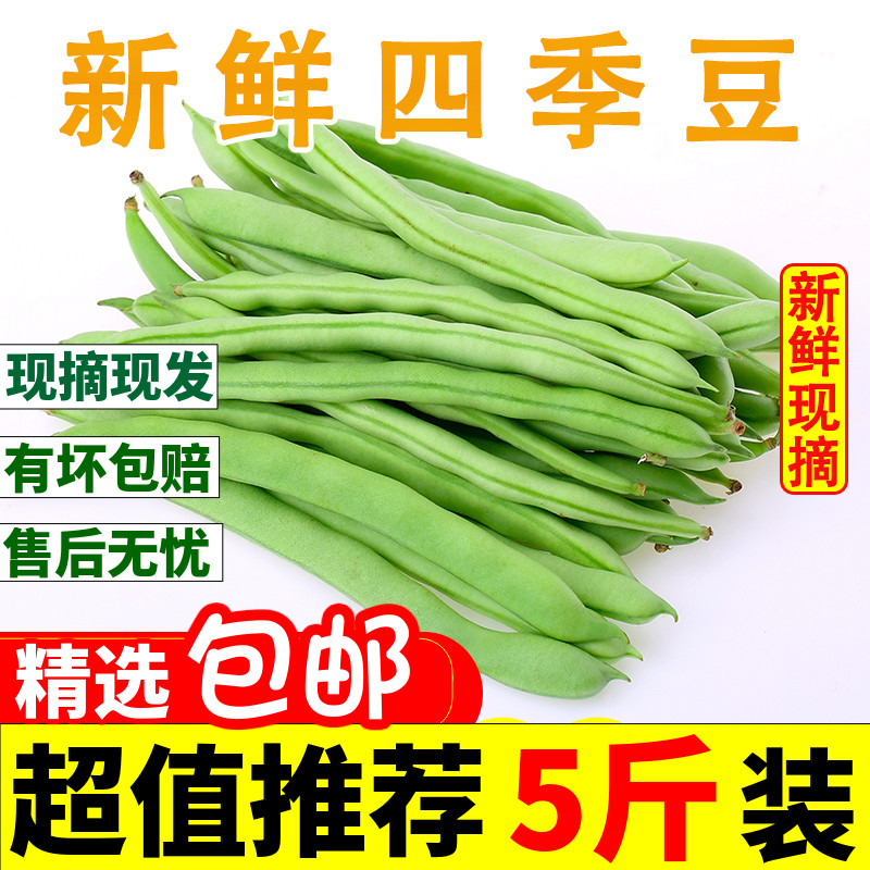 云南四季豆芸豆新鲜5斤包邮农家自种长豆角青豆扁豆角蔬菜 无筋豆