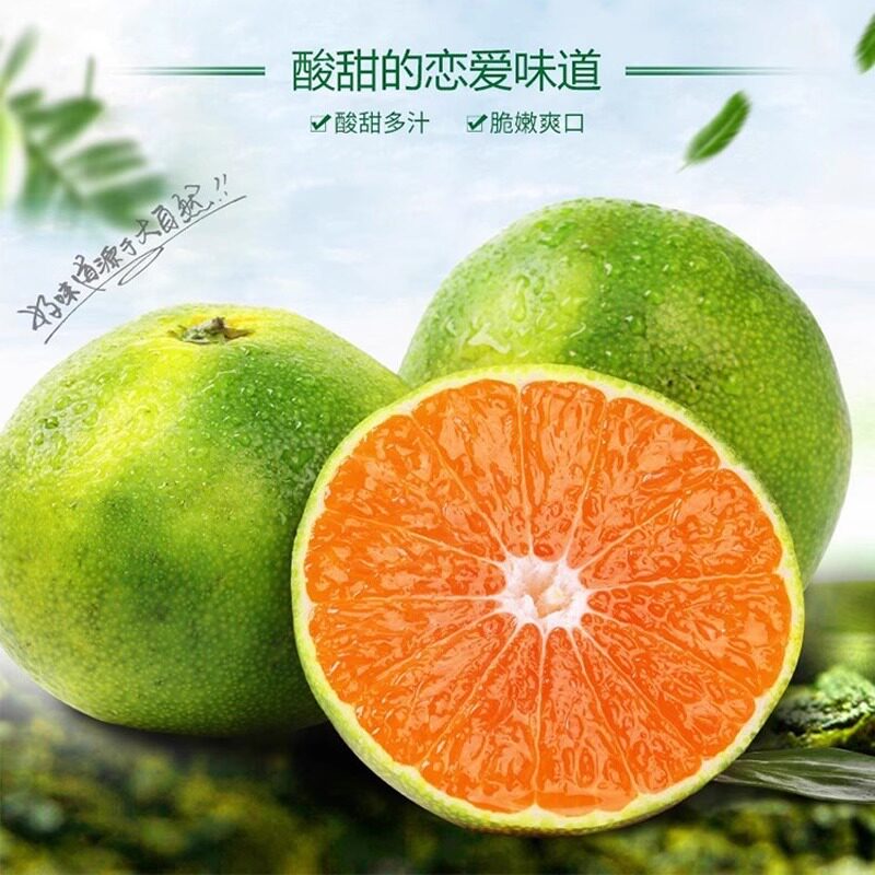 青皮蜜桔酸甜早熟桔子永州回峰蜜橘无籽柑橘新鲜孕妇水果橘子皮薄