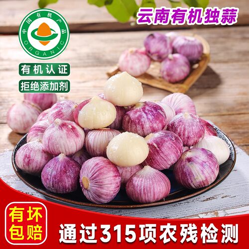 云南有机紫皮独蒜农家蔬菜高原