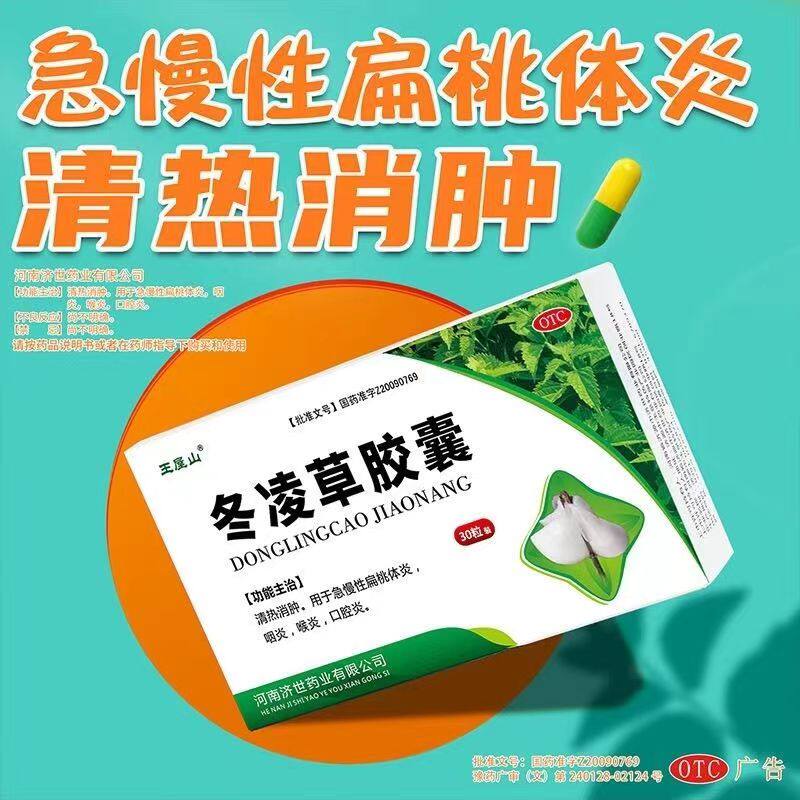 王屋山冬凌草胶囊东凌草东菱草咽炎咽喉炎中药药片口腔炎消肿非片