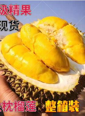 【A级】金枕榴莲新鲜水果猫山整箱10顺丰包邮应季进口巴掌榴莲肉