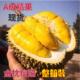 A级 金枕榴莲新鲜水果猫山整箱10顺丰 包邮 应季 进口巴掌榴莲肉