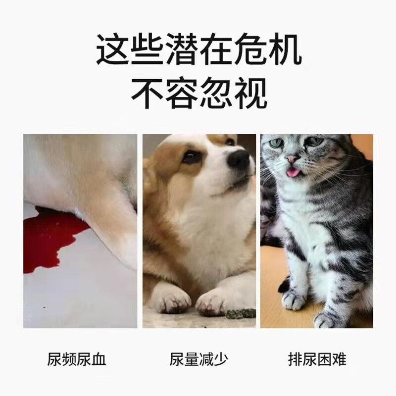 德国Mabo马博尿石消尿肾舒膀胱溶解结石尿闭膀胱炎结晶犬猫肾脏