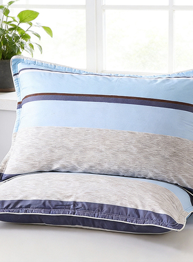 纯棉枕套一对装100%全棉枕套单个成人大号74cmx48cm宿舍小号60x40