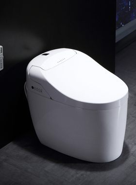 日本进口原装智能马桶一体式坐便器全自动冲水即热感应Hoshinoya