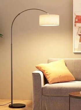 麦木木钓鱼落地灯客厅卧室书房网红北欧极简轻奢ins风沙发台灯