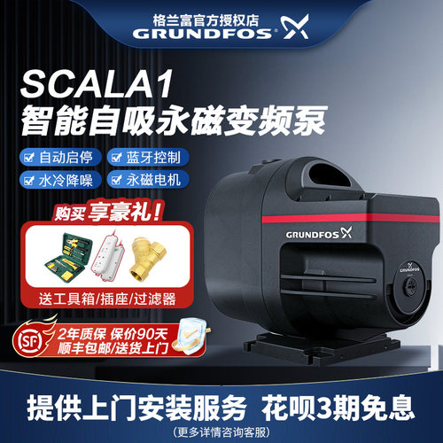 丹麦丹麦永磁别墅增压泵