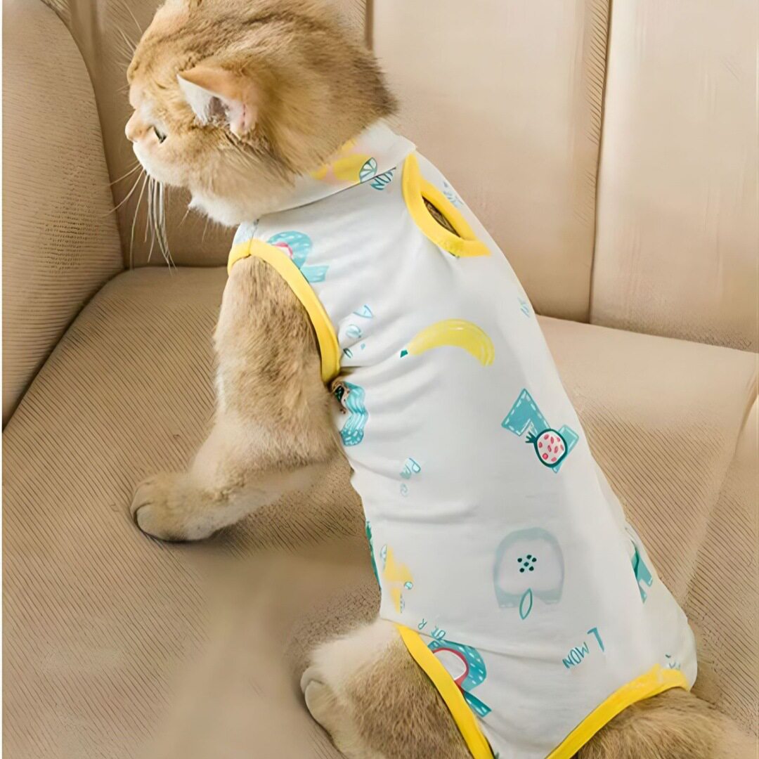 猫咪衣服绝育服手术服断