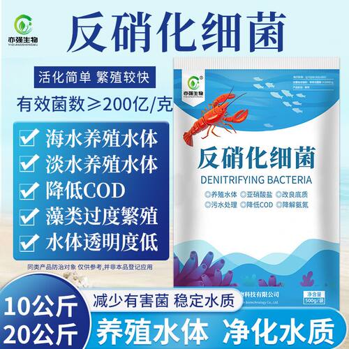 反硝化细菌 水产养殖降低亚硝酸盐污水处理净化水质底质