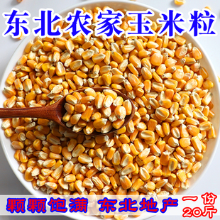 玉米粒饲料干玉米粒大粒玉米东北包谷鸽子鸡鸭鹅钓鱼打窝20斤包邮