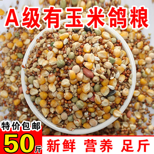 恒誉鸽粮赛飞营养饲料营养