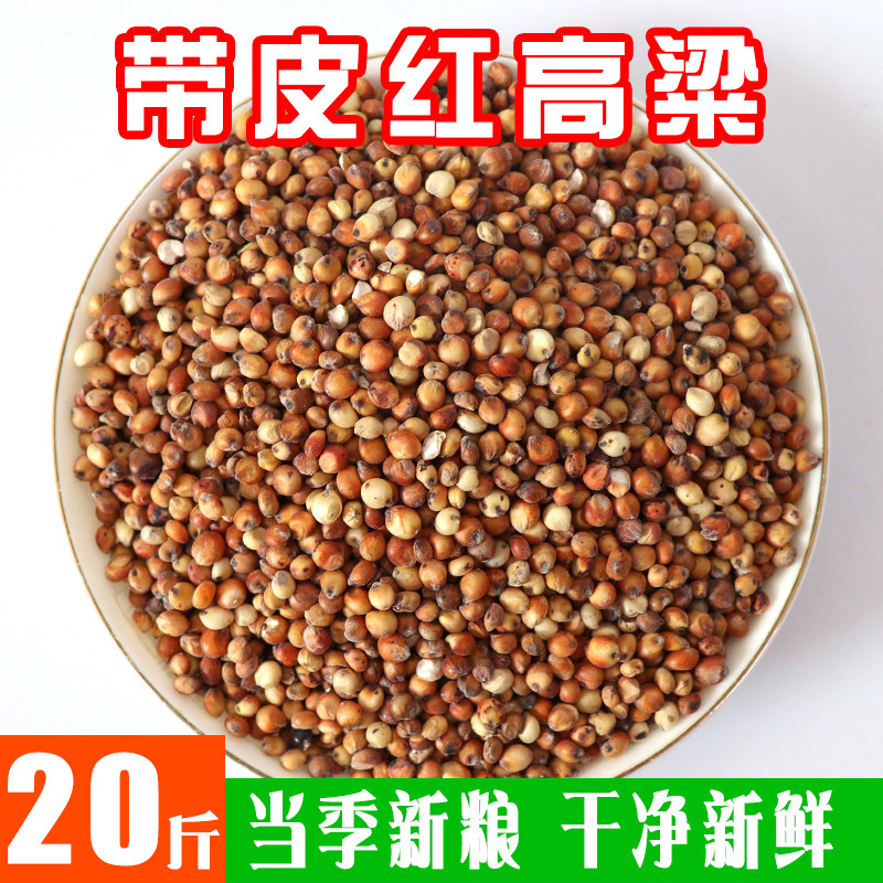高粱带皮红高粱酿酒高粱红粮酿醋喂鸽子饲料带皮带壳高粱20斤包邮