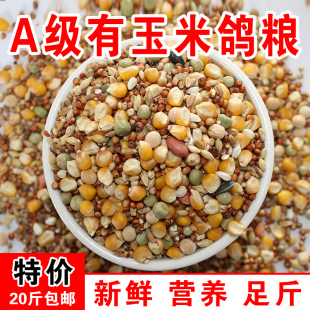 鸽粮20斤包邮有玉米鸽子饲料鸽粮信鸽赛鸽观赏鸽青年鸽幼鸽鸽料